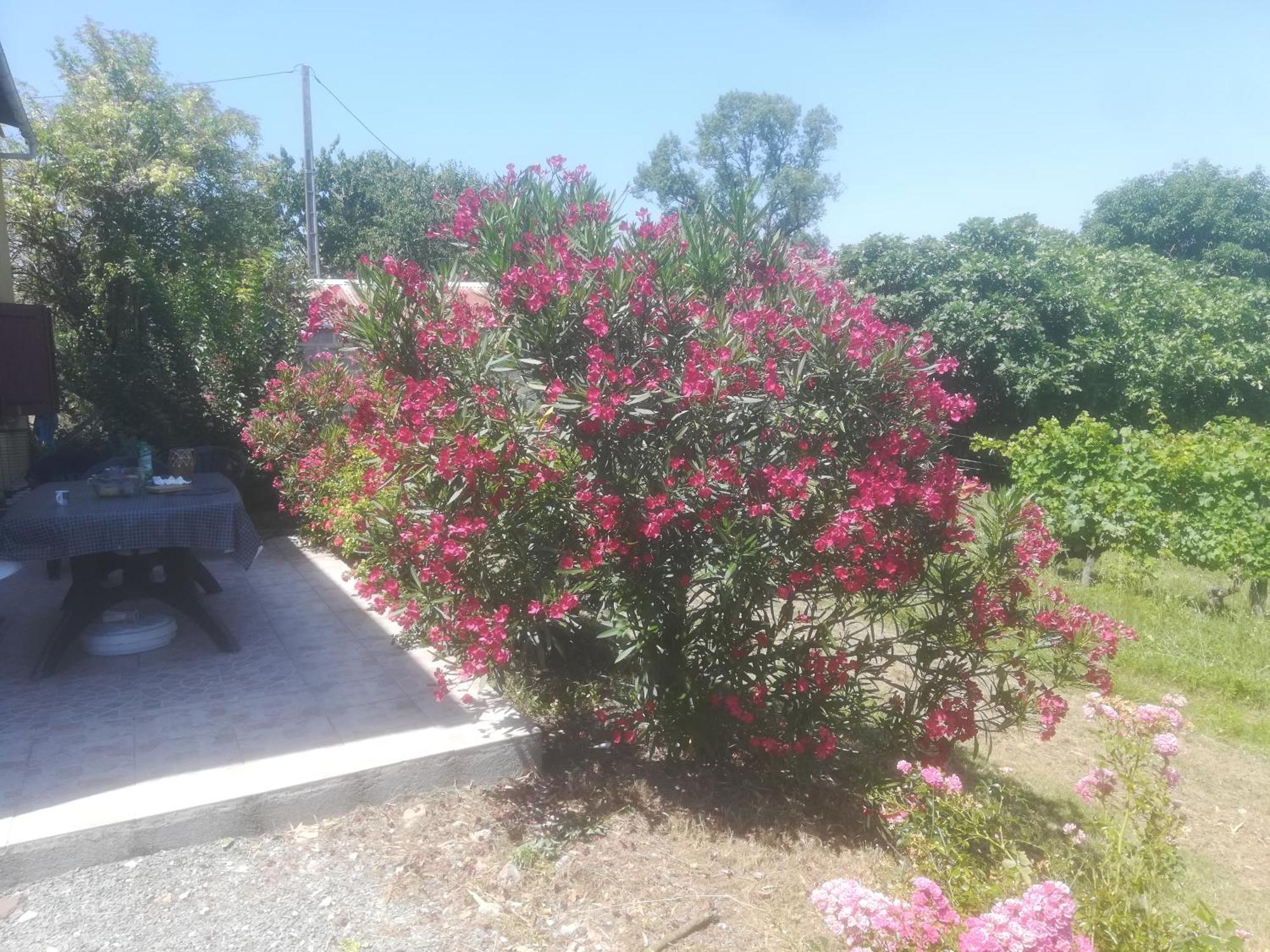Les Vignes Villa Pomport ภายนอก รูปภาพ